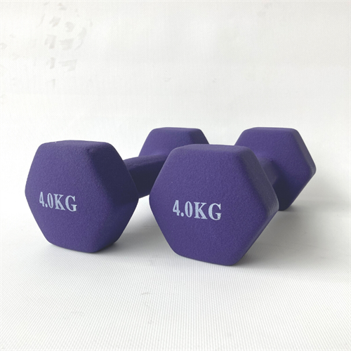 ASG Neoprene Hantlar 2x4 kg
